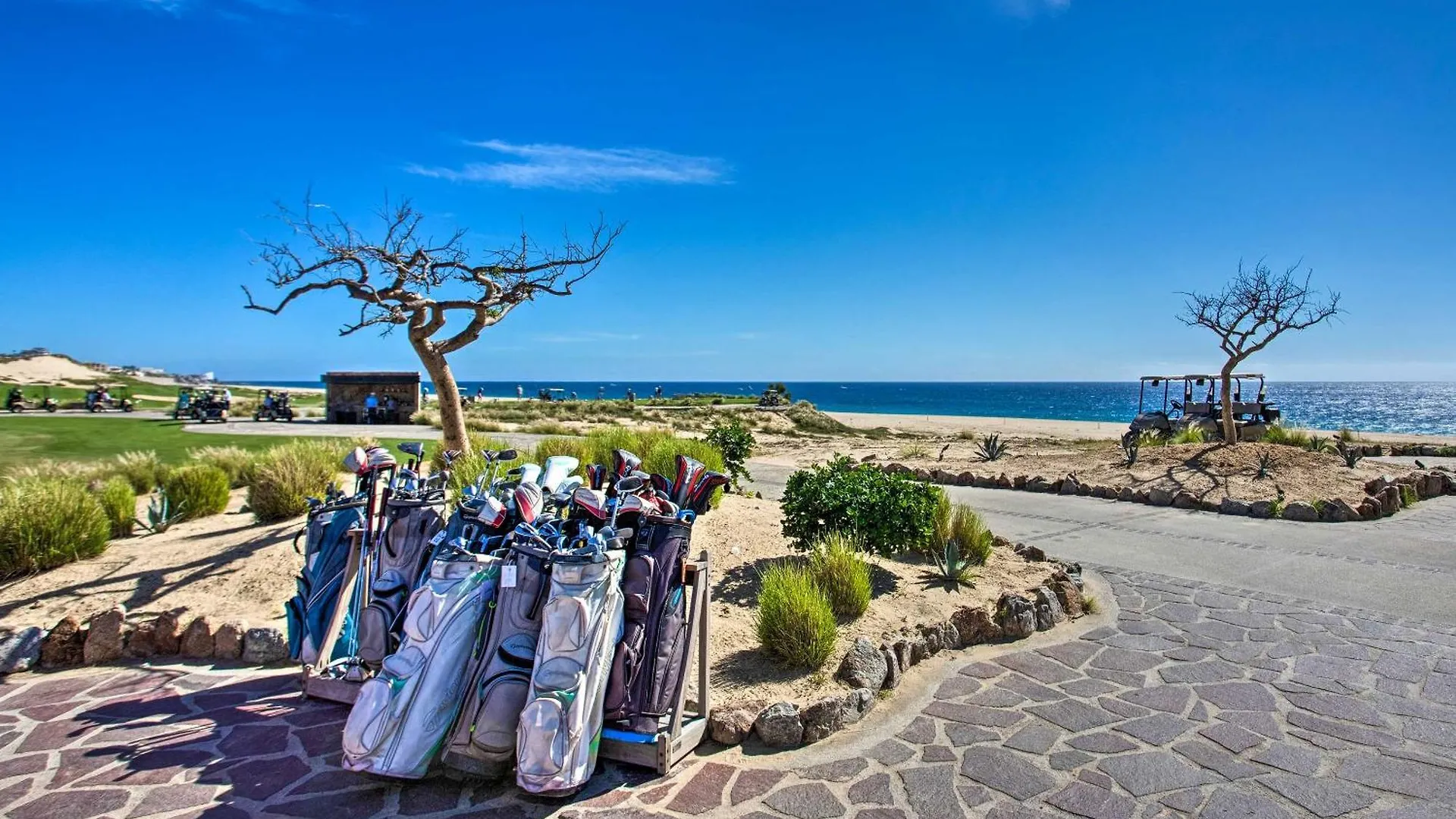 דירה קאבו סן לוקאס Quivira Golf Club Condo With Magnificent Ocean Views